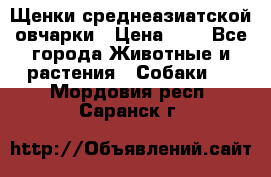 Щенки среднеазиатской овчарки › Цена ­ 1 - Все города Животные и растения » Собаки   . Мордовия респ.,Саранск г.